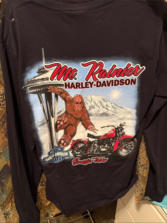 Harley-Davidson Tops - Harley-Davidson Black Long Sleeve Tee with Red Bike & Mt. Rainier Graphic small